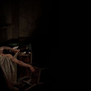 Have a Nice Life - Voids  CD